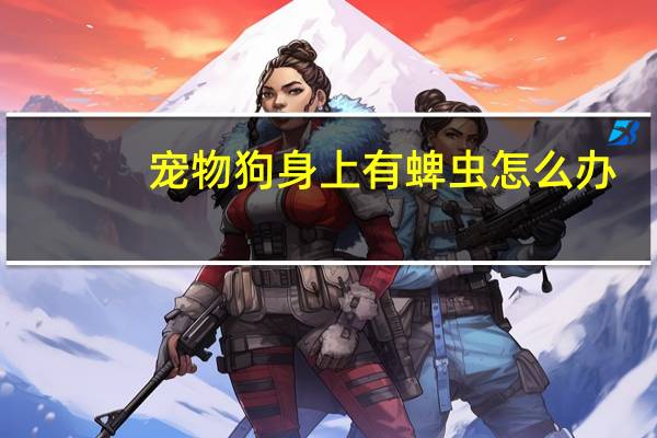 宠物狗身上有蜱虫怎么办
