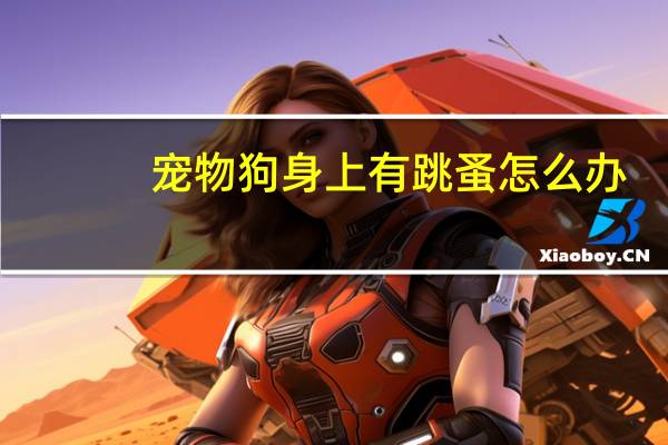 宠物狗身上有跳蚤怎么办