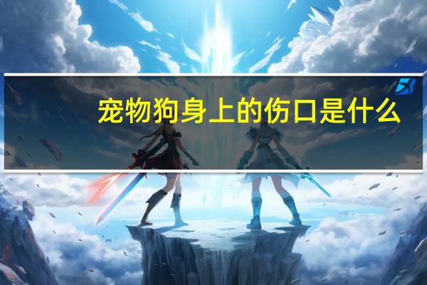 宠物狗身上的伤口是什么