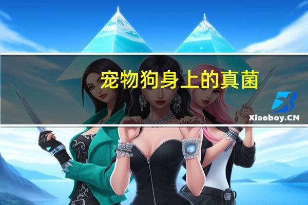 宠物狗身上的真菌