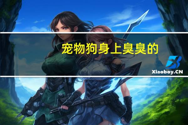 宠物狗身上臭臭的