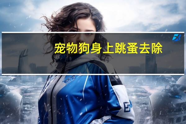宠物狗身上跳蚤去除