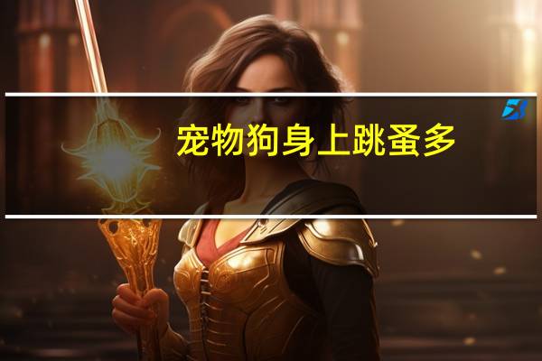 宠物狗身上跳蚤多