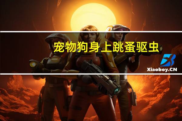 宠物狗身上跳蚤驱虫