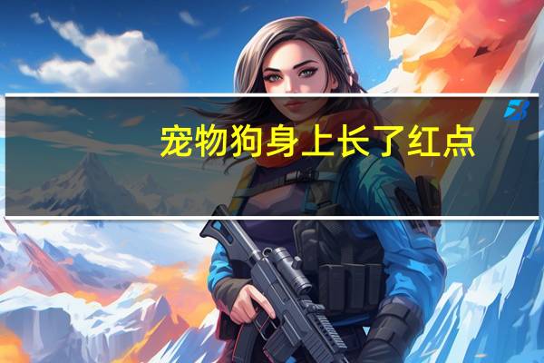 宠物狗身上长了红点
