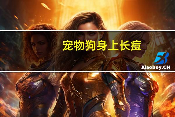宠物狗身上长痘