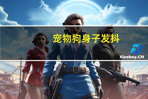 宠物狗身子发抖