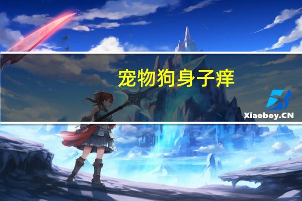 宠物狗身子痒