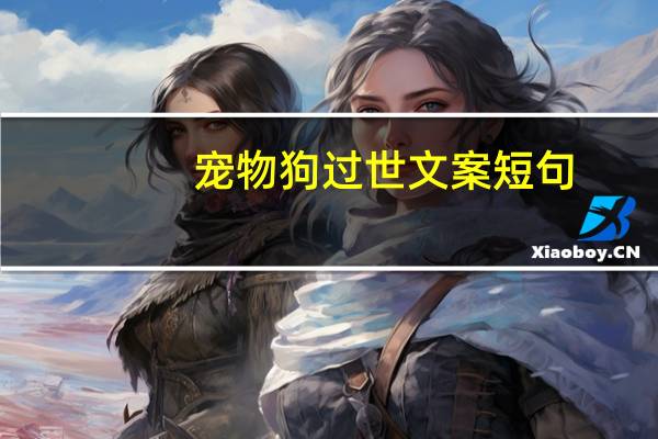 宠物狗过世文案短句