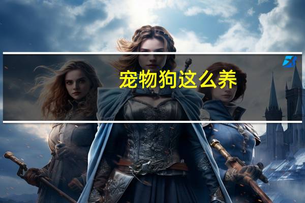 宠物狗这么养