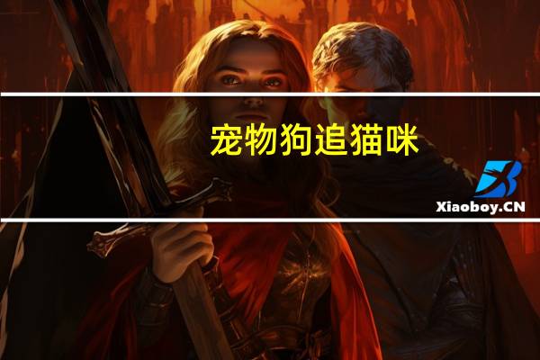 宠物狗追猫咪