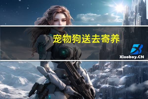 宠物狗送去寄养