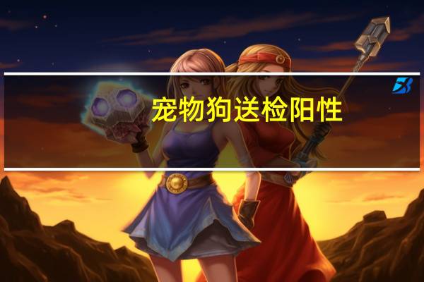 宠物狗送检阳性