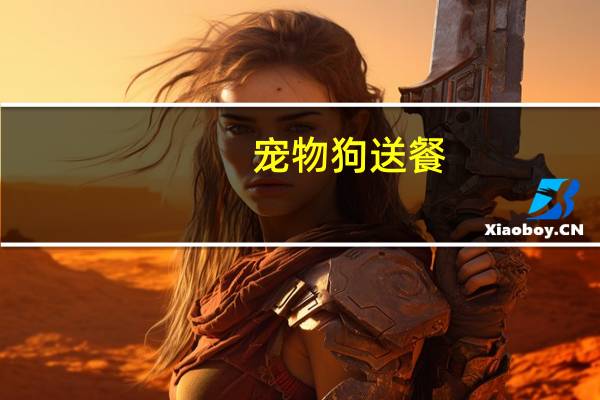 宠物狗送餐