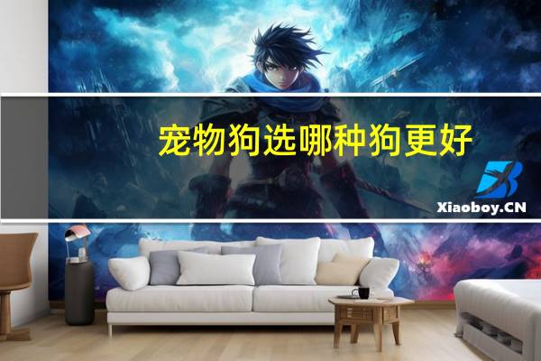 宠物狗选哪种狗更好