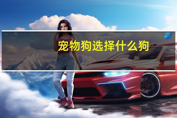 宠物狗选择什么狗