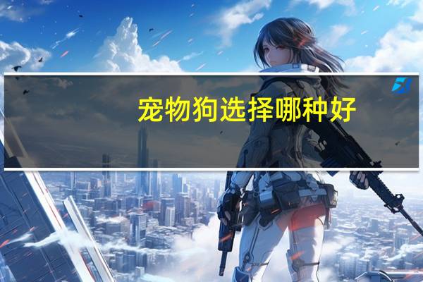 宠物狗选择哪种好