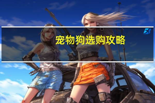 宠物狗选购攻略