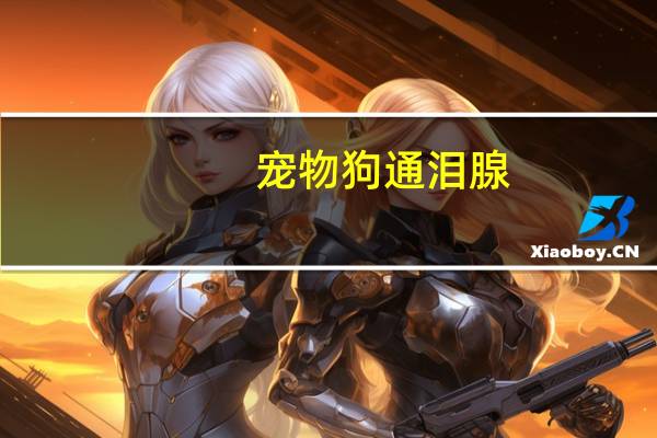 宠物狗通泪腺
