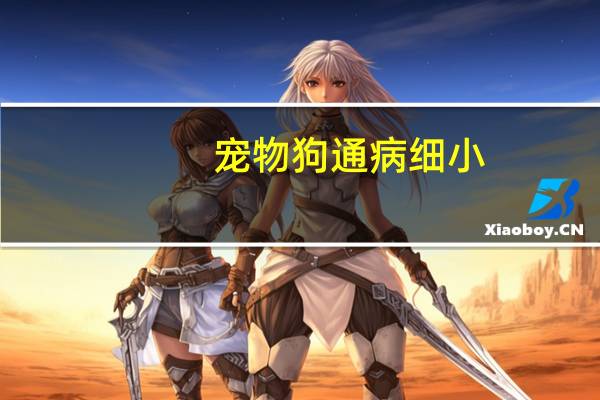宠物狗通病细小