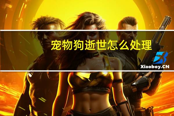 宠物狗逝世怎么处理