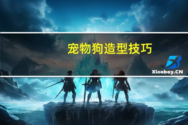 宠物狗造型技巧