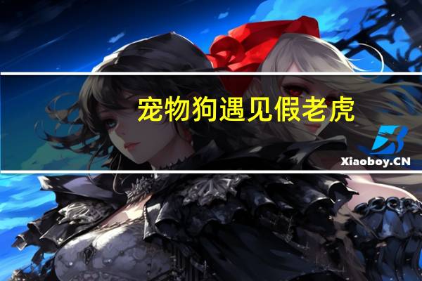 宠物狗遇见假老虎