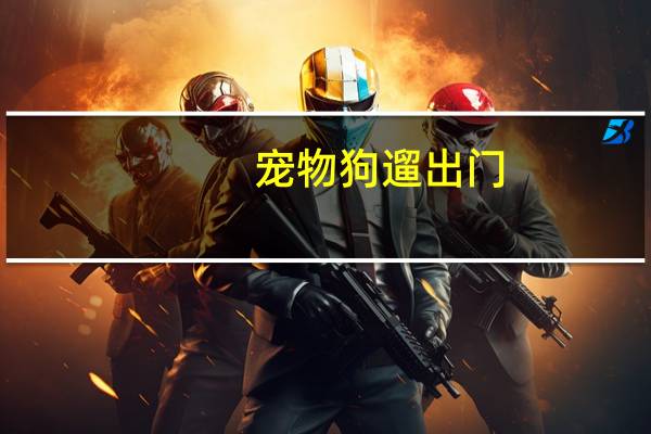 宠物狗遛出门