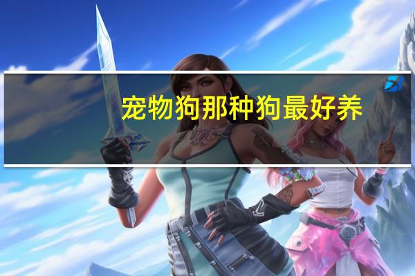 宠物狗那种狗最好养