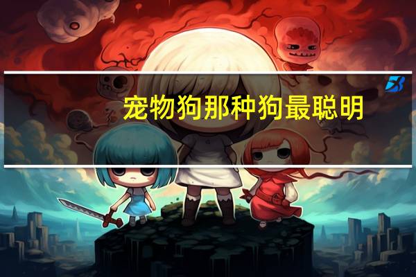 宠物狗那种狗最聪明