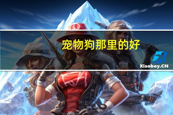 宠物狗那里的好