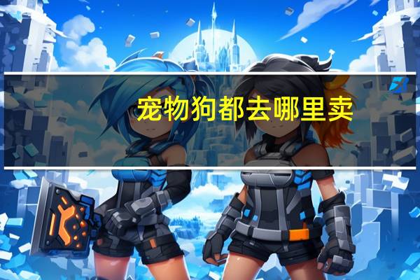 宠物狗都去哪里卖