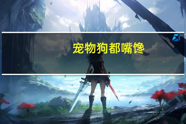 宠物狗都嘴馋