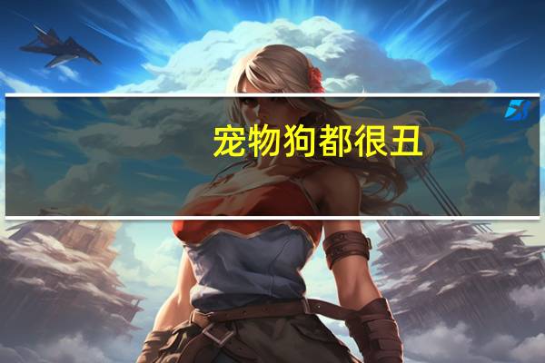 宠物狗都很丑