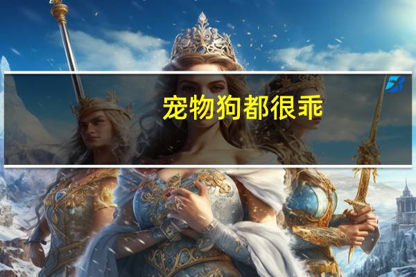宠物狗都很乖