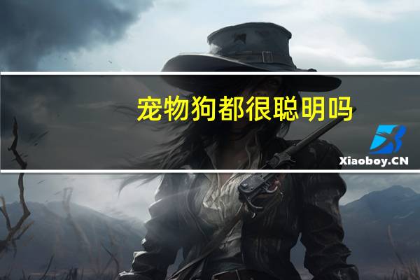 宠物狗都很聪明吗
