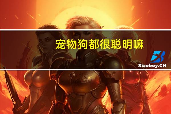 宠物狗都很聪明嘛