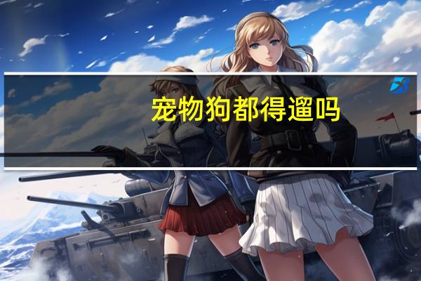 宠物狗都得遛吗
