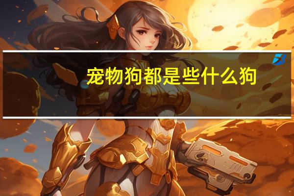 宠物狗都是些什么狗
