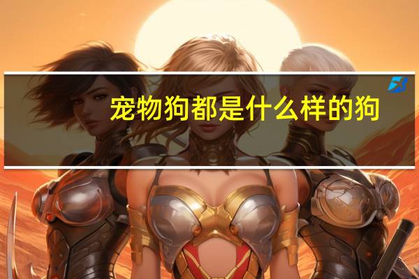 宠物狗都是什么样的狗