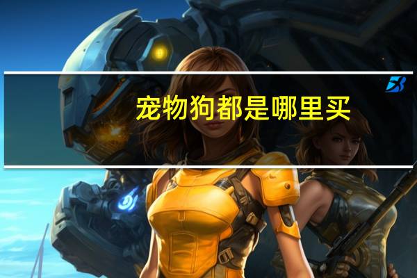 宠物狗都是哪里买