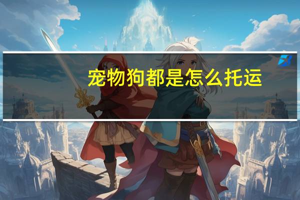 宠物狗都是怎么托运