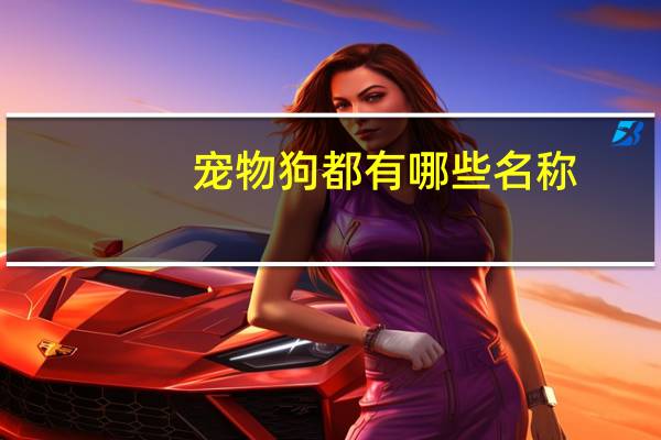 宠物狗都有哪些名称