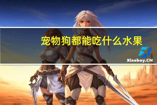 宠物狗都能吃什么水果