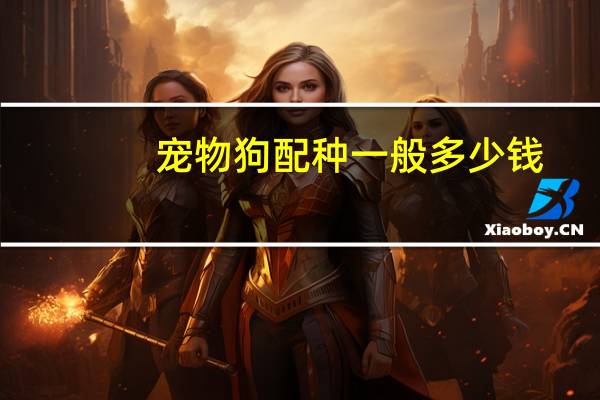 宠物狗配种一般多少钱