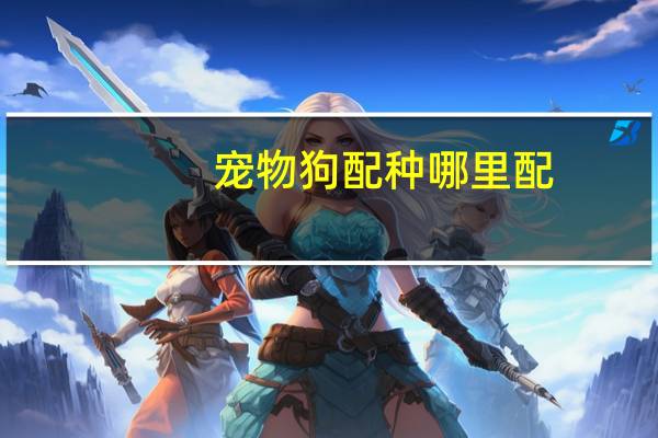 宠物狗配种哪里配