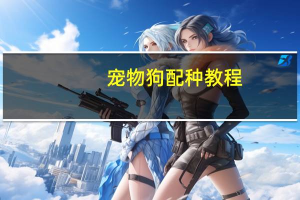 宠物狗配种教程
