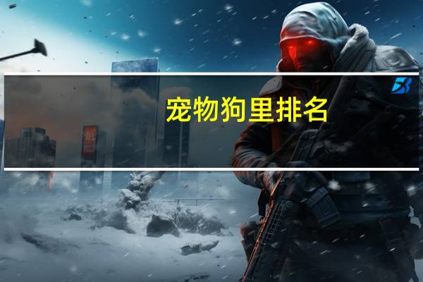 宠物狗里排名