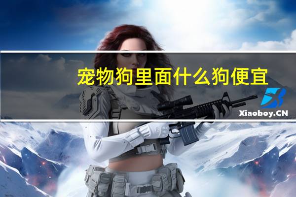 宠物狗里面什么狗便宜