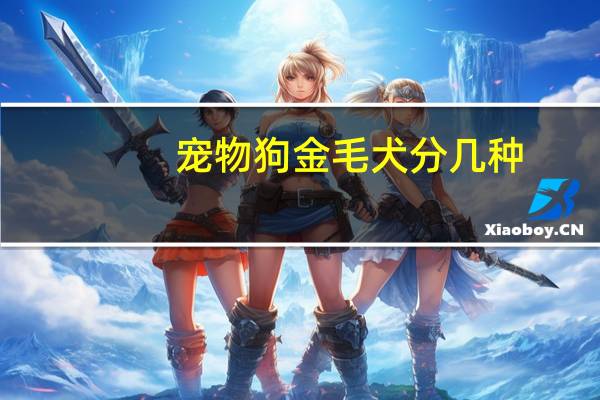 宠物狗金毛犬分几种